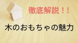 【徹底解説！】木のおもちゃの魅力を紹介 