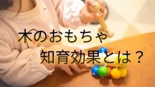 木のおもちゃを使った知育のヒント！親子で楽しみながら学ぼう♪ 